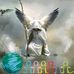 Dryhin Dima - Facebook