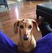 Tammy Dube - Facebook