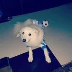 Tammy Dube - @tammynap900 - Instagram