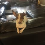 Tammy Dubey - @dubeytammy - Instagram