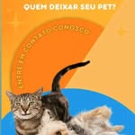 Petsitter - @tammydudao - Instagram