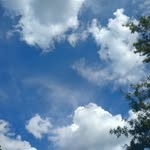 Tammy Duffield - @duffieldtammy - Instagram