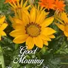 Tammy Duffield - @tammy.duffield - TikTok