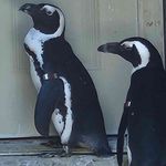 Tammy Duhr - @duhrtammy - Instagram