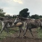 Tammy Dunlap - @tammydunlap1228 - Instagram