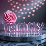 Tera Tammy - Facebook