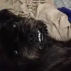 mamasgirl68 - @tammydresselduval - TikTok