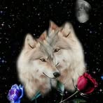 Tammy DuVal - Facebook