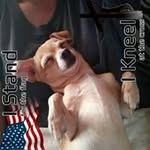 Tammy Eagles - @eaglestammy - Instagram