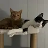 tammyyeagle - @tammyyeagle - TikTok