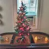 Tommy Eanes - @tommy.eanes - TikTok
