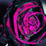Tammy Earley - @tearley82 - Instagram