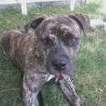 Tammy Holbrook Earley - @holbrookearley - Instagram