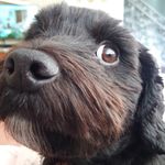 Tammy Easter - @tammyeaster160 - Instagram