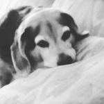Tammy Smith Easter - @tammy.easter - Instagram