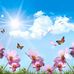 Tammy Easterday Spradling - Facebook