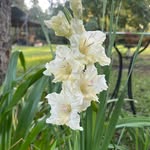 Tammy Townsend Easterling - @tameast - Instagram