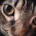 Tammy Eberly - Facebook