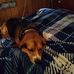 Tammy Eberly - Facebook