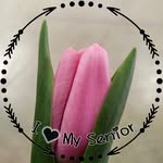 Tammy Eberly Royer - @catroyer1 - Instagram