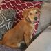 Tammy Ebersole Hopp - Facebook