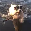 Tammy Rector - @tammy.rector7 - TikTok