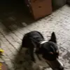 edentammy - @edentammy - TikTok