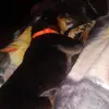 Tammy Edens - @tammy.edens - TikTok
