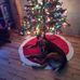Tammy Elder - Facebook