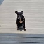 Tammy Elmer - @tammyelmer - Instagram