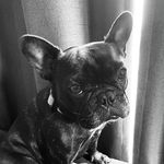 Tammy Elmer - @tammyelmer59 - Instagram