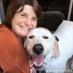 Tammy Elrod - @elrod81823 - Instagram