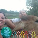 Tammy Elwell - @tammye4370 - Instagram