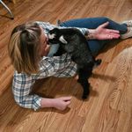 Tammy Sorenson Enos - @dimples71502 - Instagram