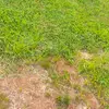 tammyepperly795 - @tammyepperly795 - TikTok