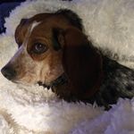 Tammy Epperson Barnett - @tjb1220 - Instagram