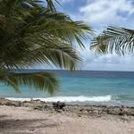 Tammy Epps Mcelvaine - @tammy.mcelvaine - Instagram