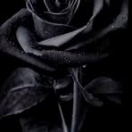 Tammy Eslinger - Facebook