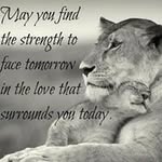 Tammy Essig - @tammyessig - Instagram