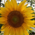 Tamara Estes - @tammy_estes - Instagram