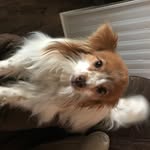 Tammy Ethridge - @ethridgetammy66 - Instagram