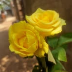 Tajma Eity - Facebook