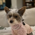 Tammy Eudy Noble - @tenoble4821 - Instagram