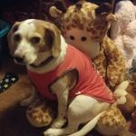 Tammy Eveland - @evelandtammy - Instagram