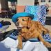 Tammy Evenson - Facebook