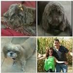 Tammy Evenson Nicoletti - @tnic810 - Instagram