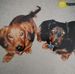 Tammy Evers - Facebook