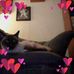 Tammy Fair - Facebook