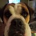 Tammy Falls - Facebook