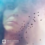 Tammy Faust - @tammy.faust.3954 - Instagram